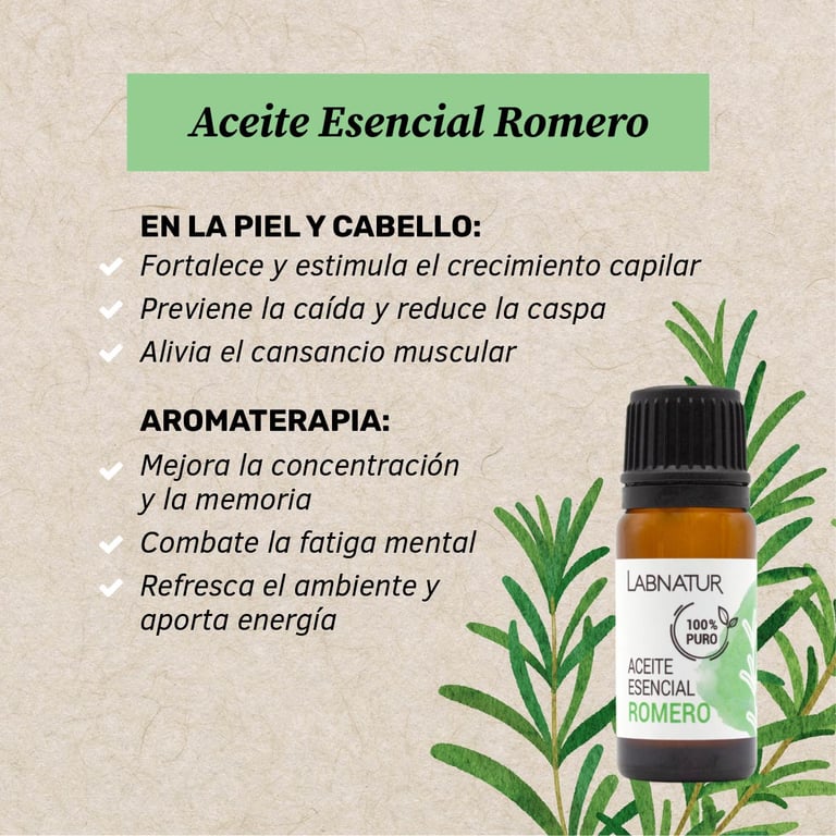Esencial Romero - imagen 11 de 11