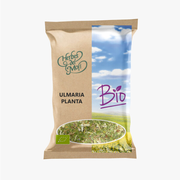 Ulmaria Bio-Pflanze - imagen 2 de 2