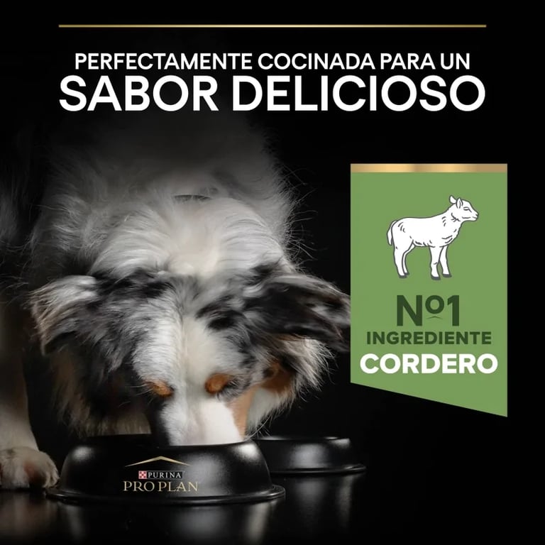 Cane Medio Agnello e Riso - imagen 10 de 11