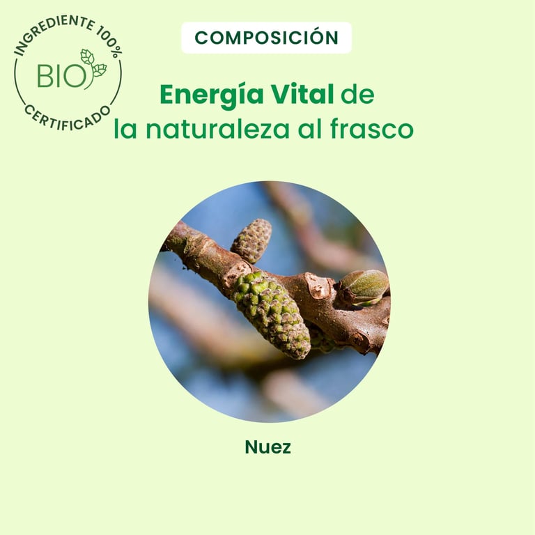 Nogal Bio Gotas - imagen 4 de 6
