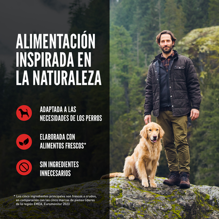 Dry Senior Dog - imagen 6 de 15
