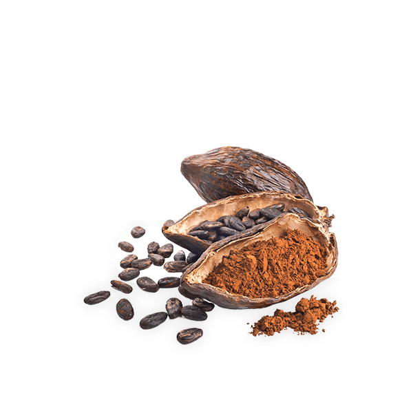 Chocolate Negro India 85% Ecológico