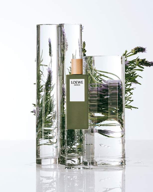 Esencia Homme EDT 100 ml von Loewe