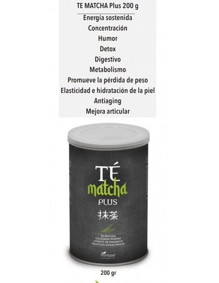 Thé Matcha Plus - imagen 2 de 4