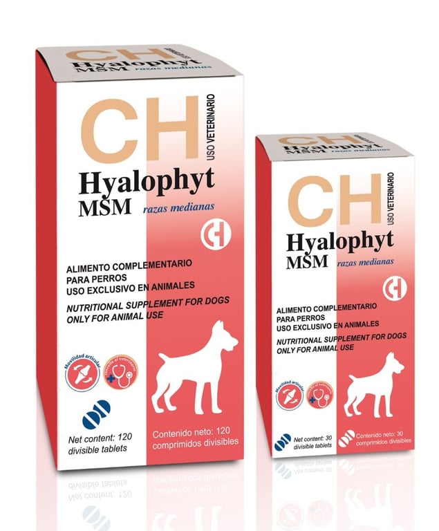 Hyalophyt MSM Cani Taglie Medie