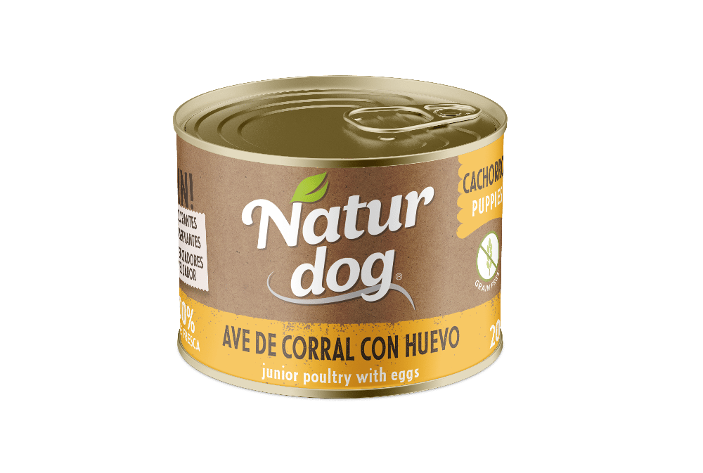 Ave de Corral con Huevo