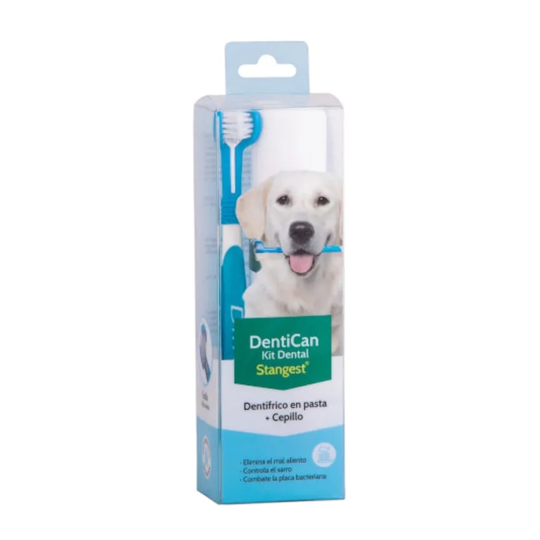 Dentican Kit Cepillo Dental + Pasta 100 ml