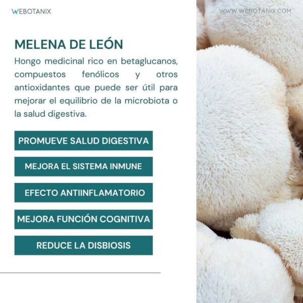 Probiotax Microbiota - imagen 2 de 11