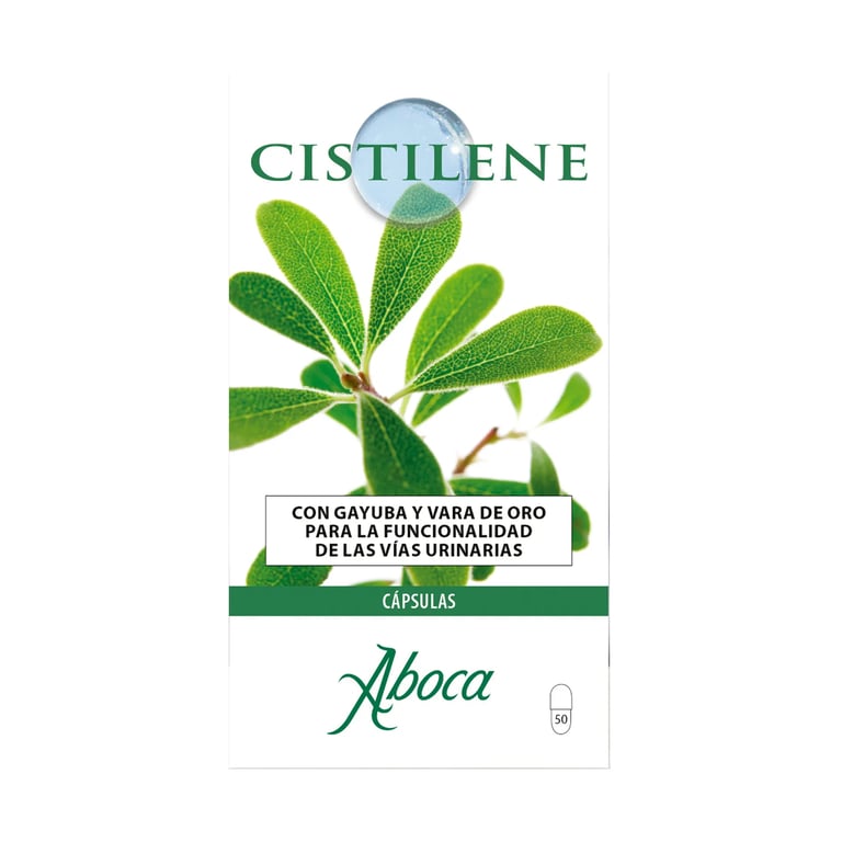 CISTILENE