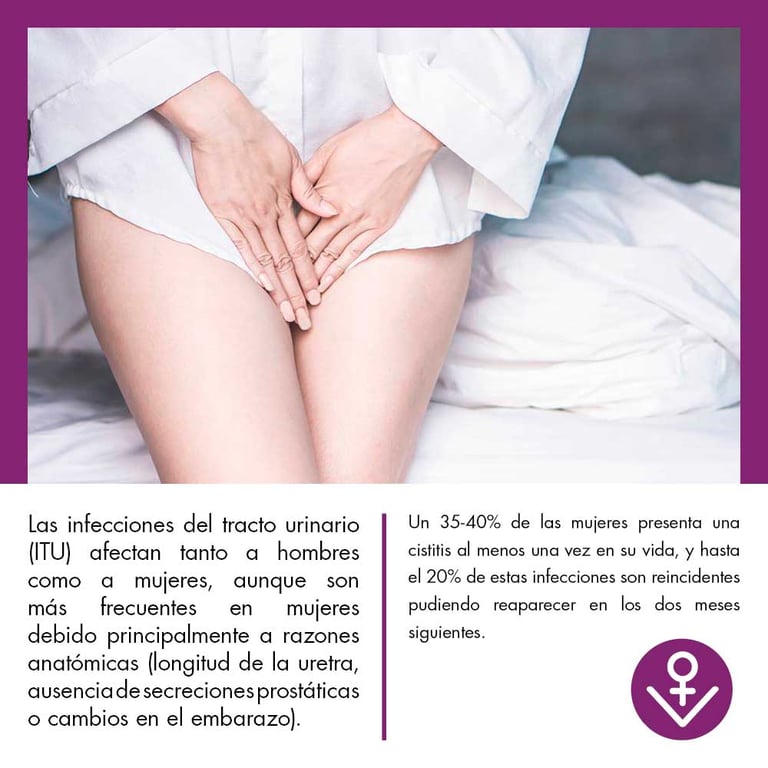 Cystu Balance + Probióticos - imagen 4 de 11