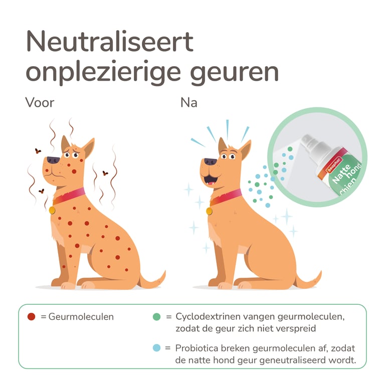 Spray Anti-Odeur Chien Humide - imagen 4 de 5