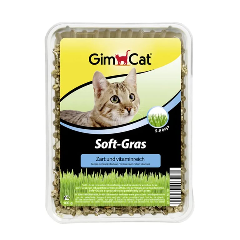 Soft Gras Erva Para Gatos