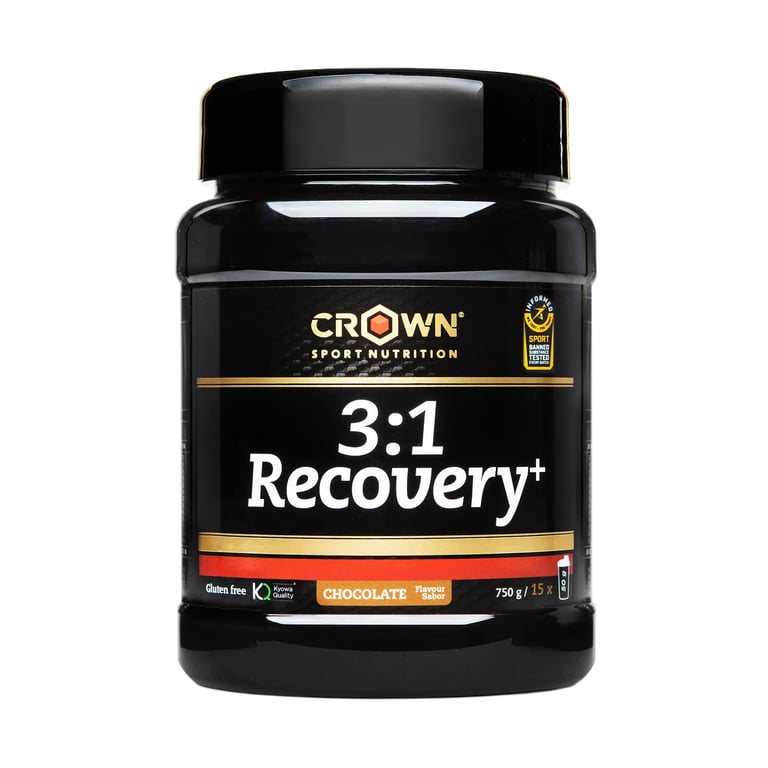 3:1 Recovery+