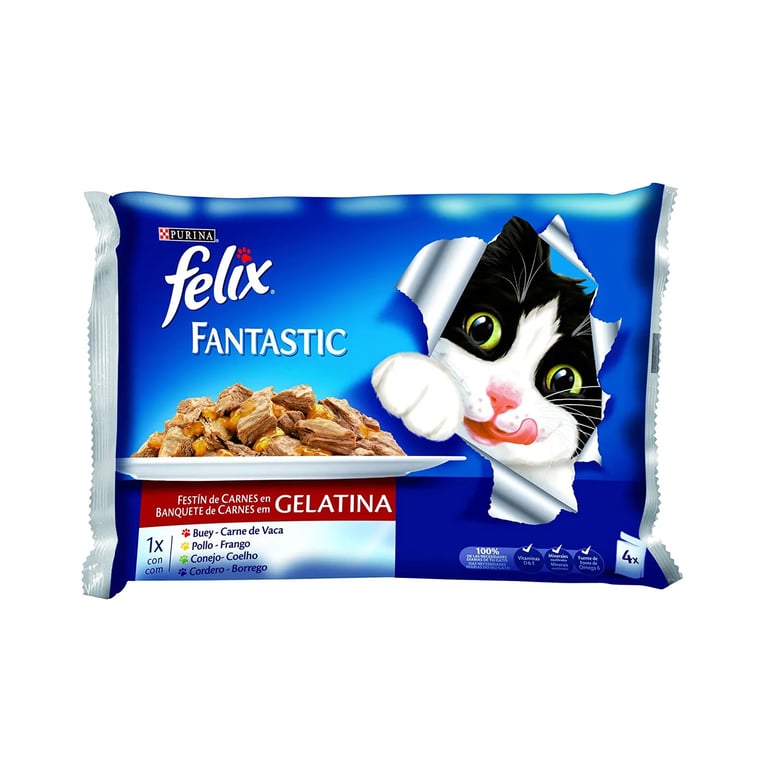 Fantastic Festín De Sabores En Gelatina