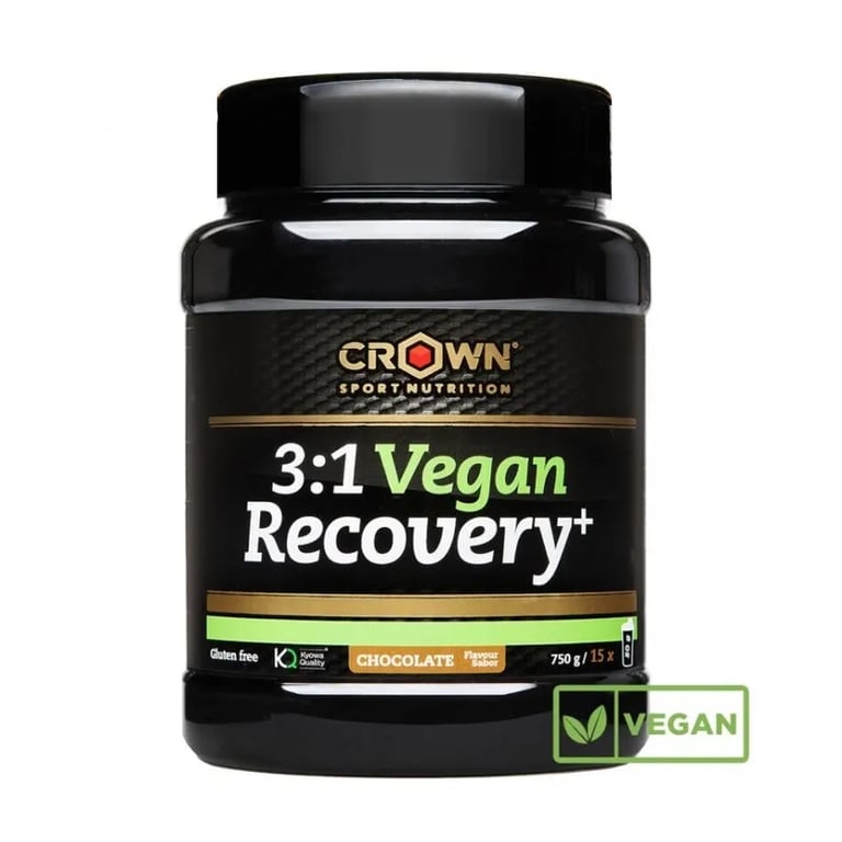 3:1 Vegan Recovery+