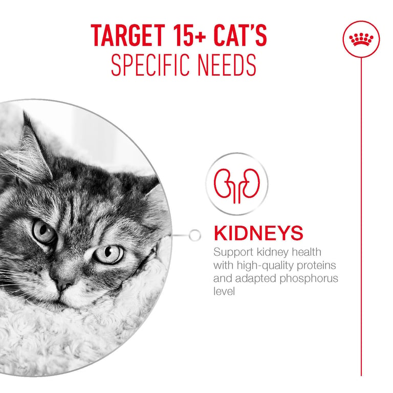 Ageing 15+ Nassfutter Senior-Katzen - imagen 4 de 8