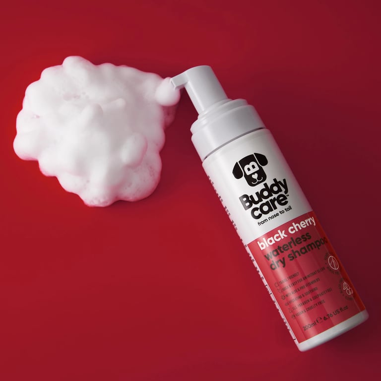 Shampooing Sec Cerise Noire - imagen 4 de 5