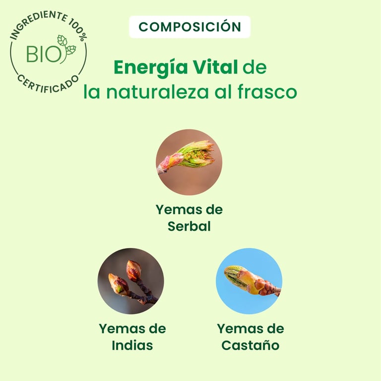 Venagem Bio Gouttes - imagen 4 de 6