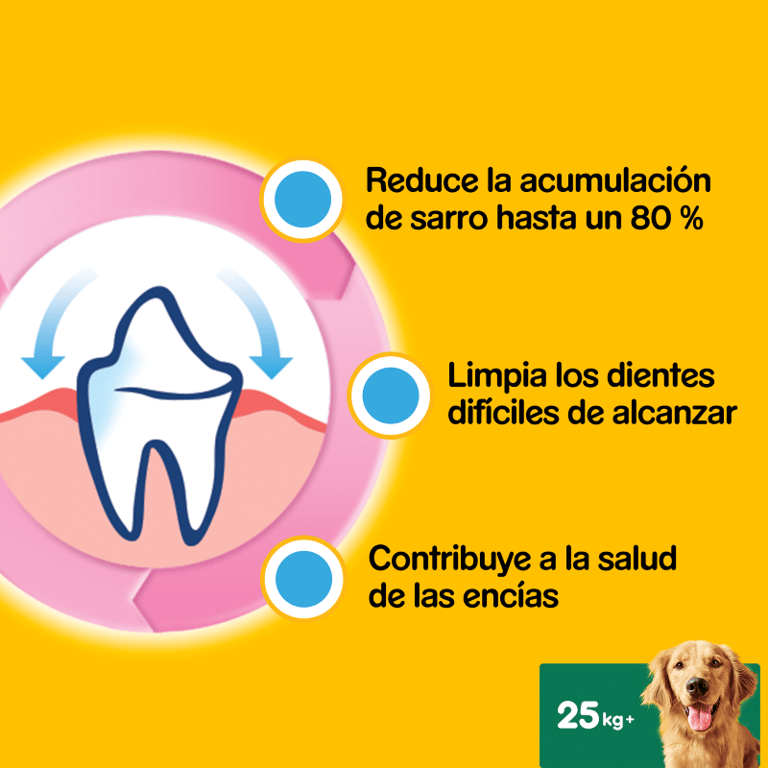 Dentastix Multipack Große Rassen - imagen 4 de 5