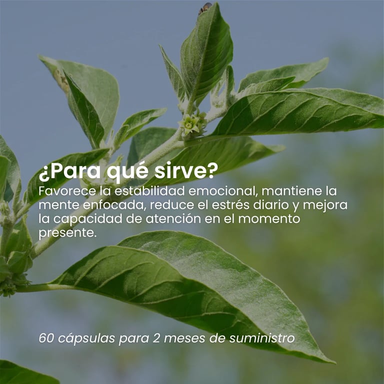 Relax Ashwagandha - imagen 5 de 10