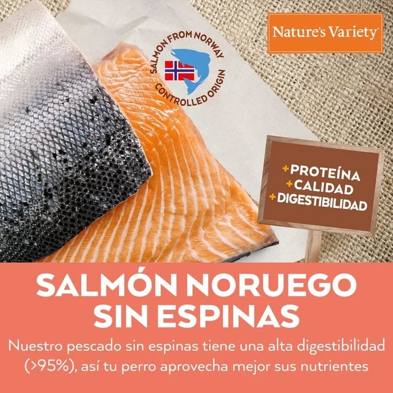 No Grain Hundefutter Lachs Medium/Maxi - imagen 14 de 15