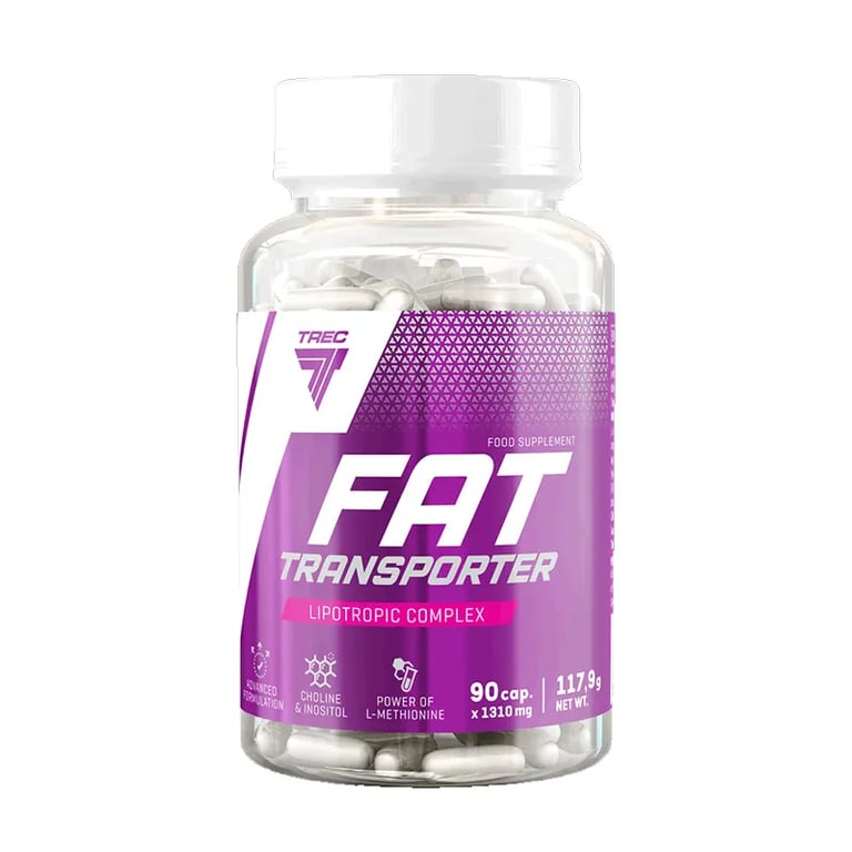 Fat Transporter