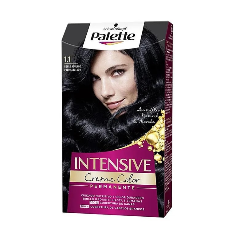 Palette Intensive Coloration #1.1 Noir Bleuté