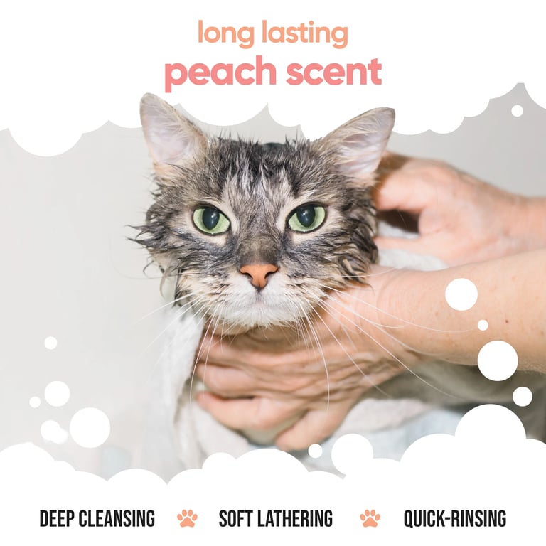Shampooing Sec à l'Avoine pour Chats - imagen 10 de 16
