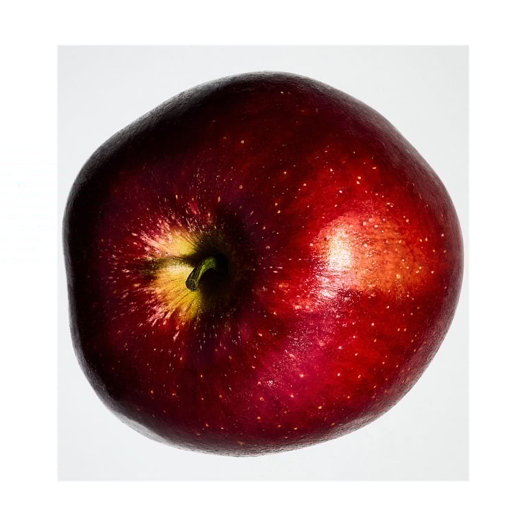 Solo Ella Set EDP 100 ml + EDP 10 ml + Ella Elixir EDP 10 ml de Loewe