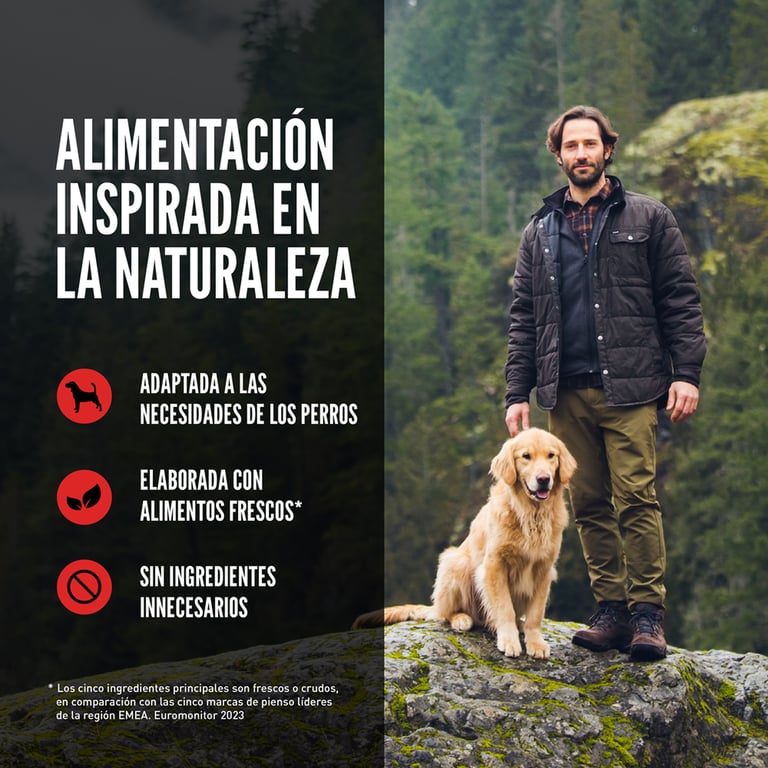 Dry Senior Dog - imagen 15 de 15