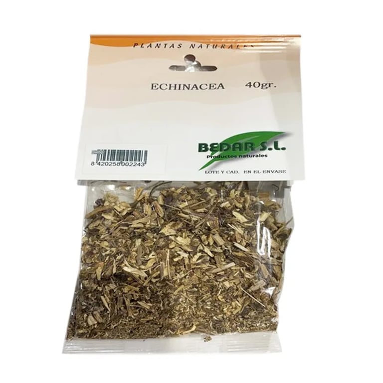 Echinacea