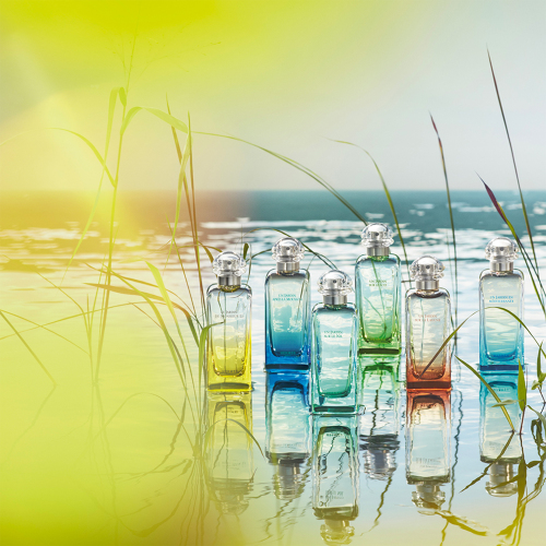 Un Jardin Sur Le Toit Edt Spray 50 ml von Hermes