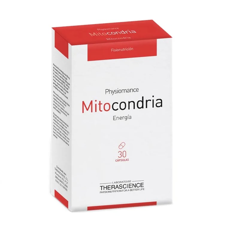Mitocondria
