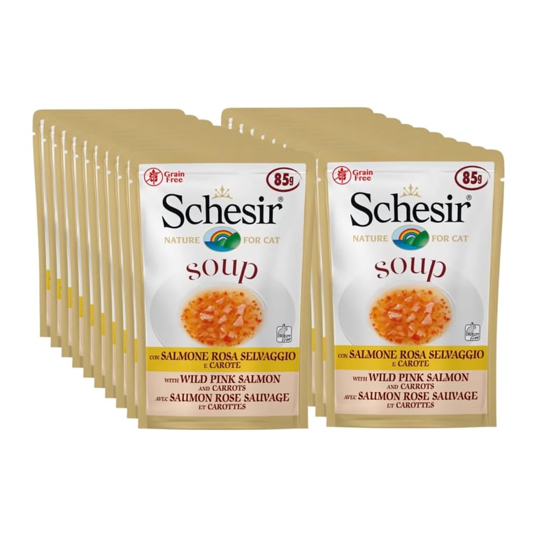 Soup Rosa-Lachs & Karotte