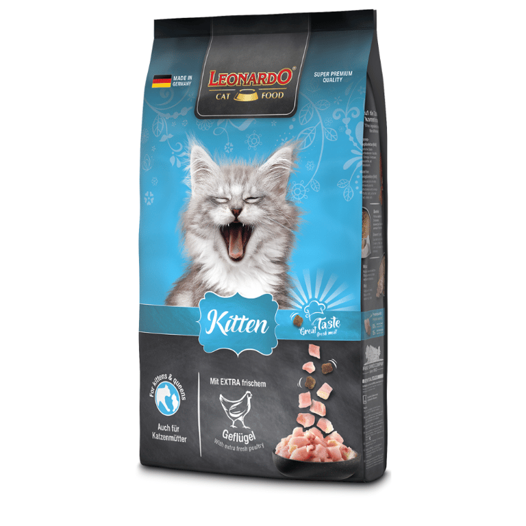 Pienso para Gatitos y Gatas Gestantes