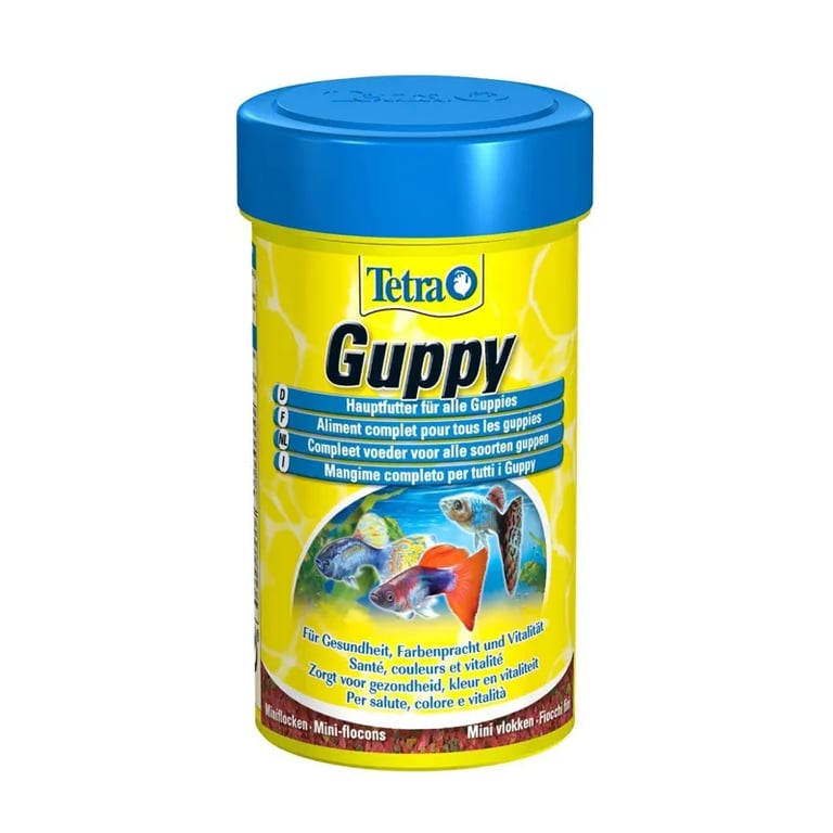 TETRA GUPPY