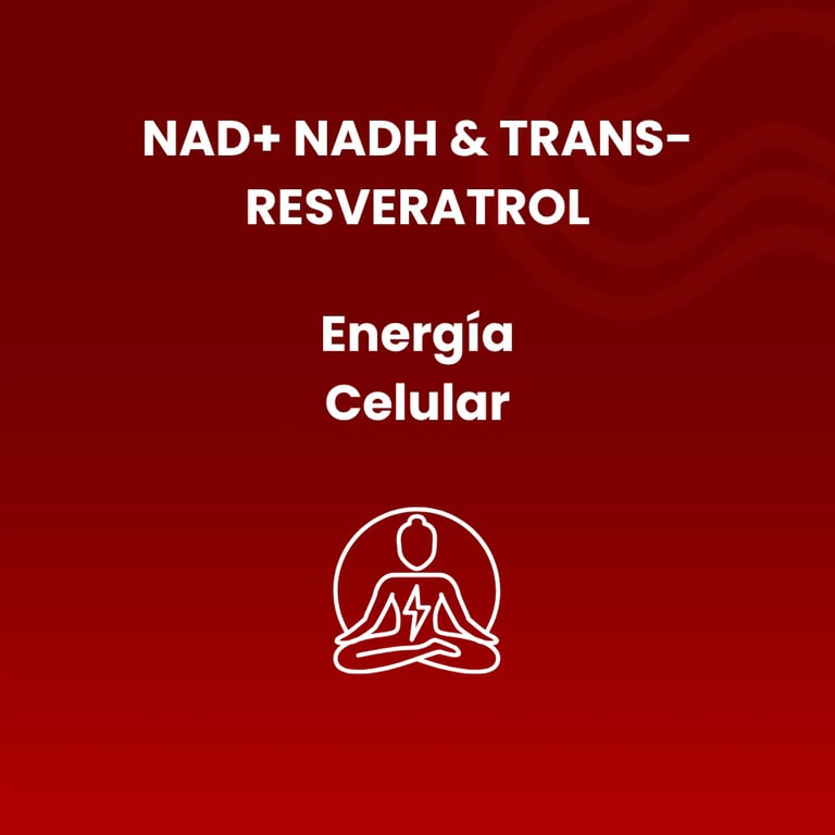 NAD+ NADH & Trans-Resvératrol 570 mg - imagen 2 de 5