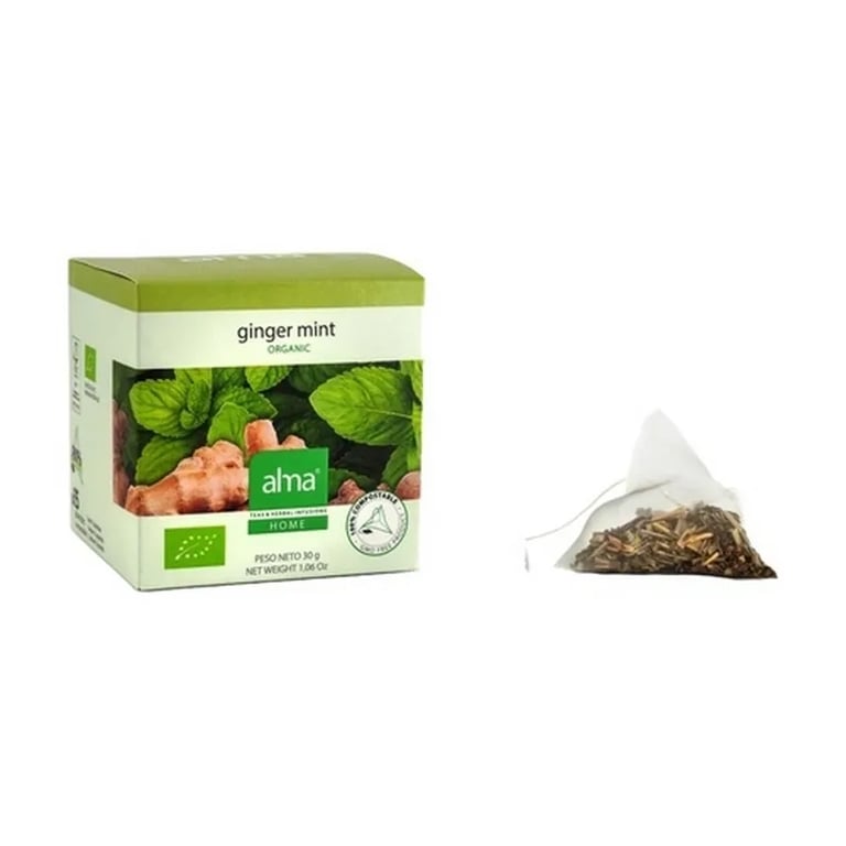 Infusión Té Verde Ginger Antiox Eco Vegan