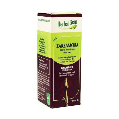 Zarzamora