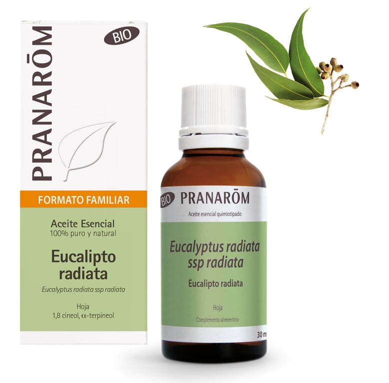 Aceite Esencial de Eucalipto Radiata Bio