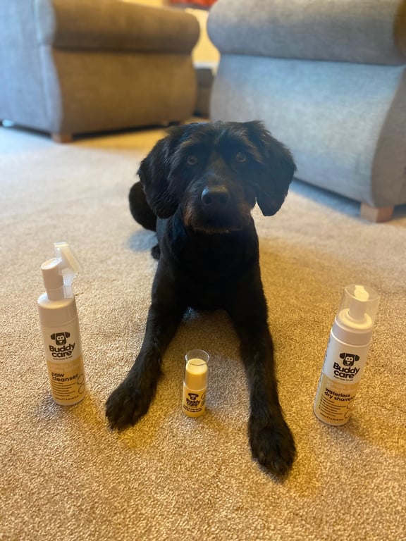 Trockenshampoo Vanille Sheabutter - imagen 6 de 6