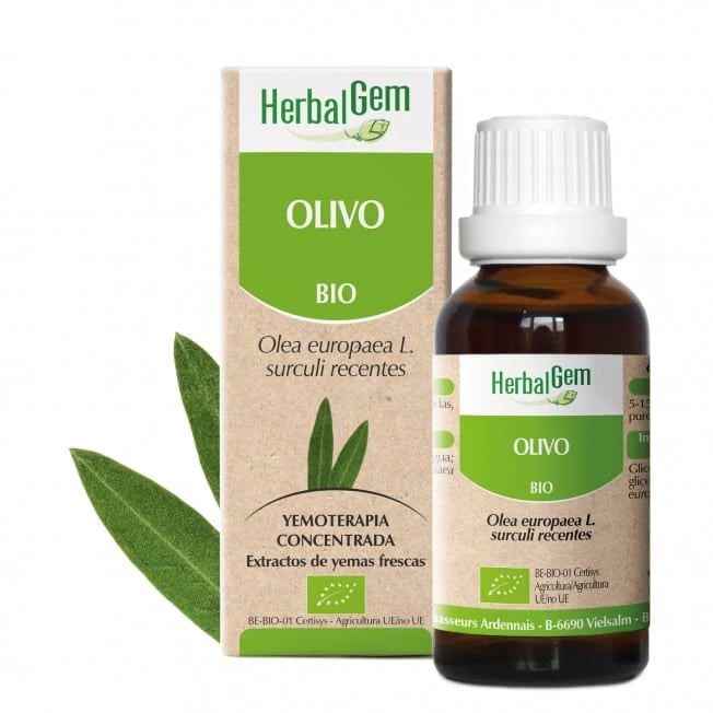 Olivo Bio - imagen 2 de 2