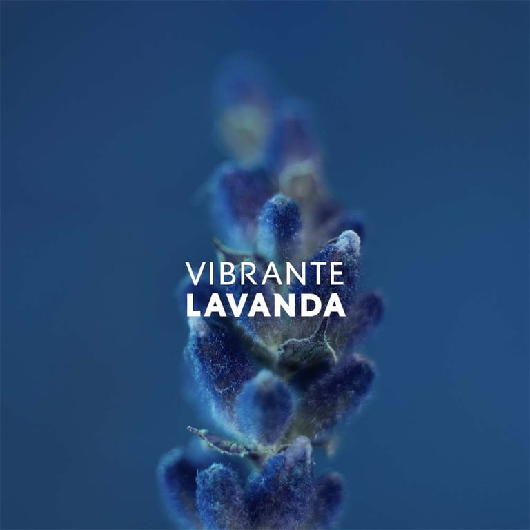 Y Men EDT 60 ml von Yves Saint Laurent