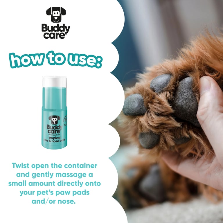 Tropisches Hundeshampoo - imagen 19 de 21