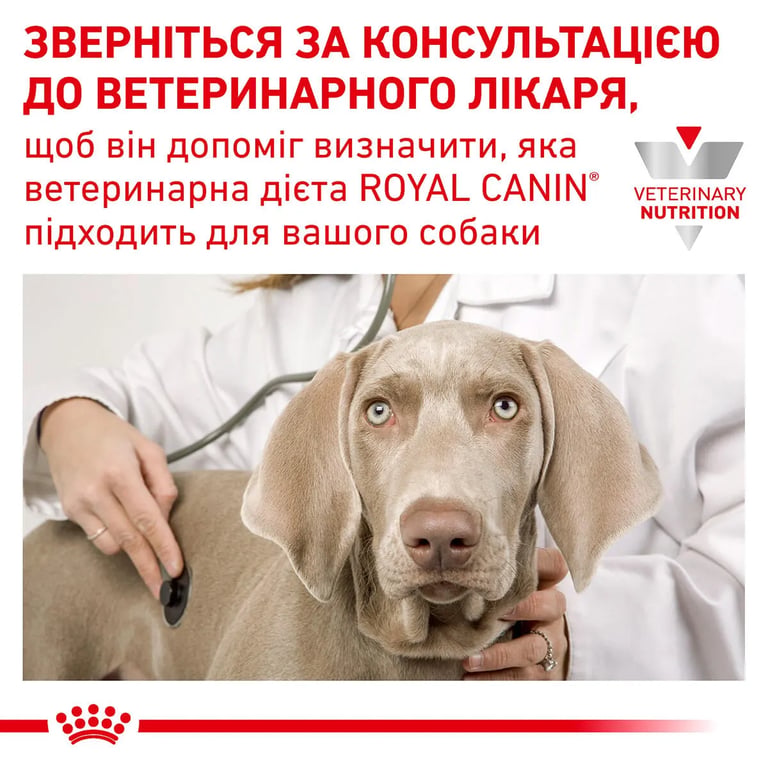 Veterinary Gastrointestinal Para Perros - imagen 4 de 4