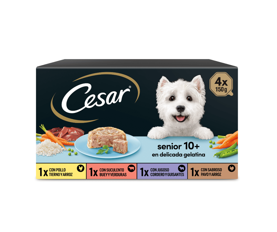 Recetas Senior 10+ Multipack