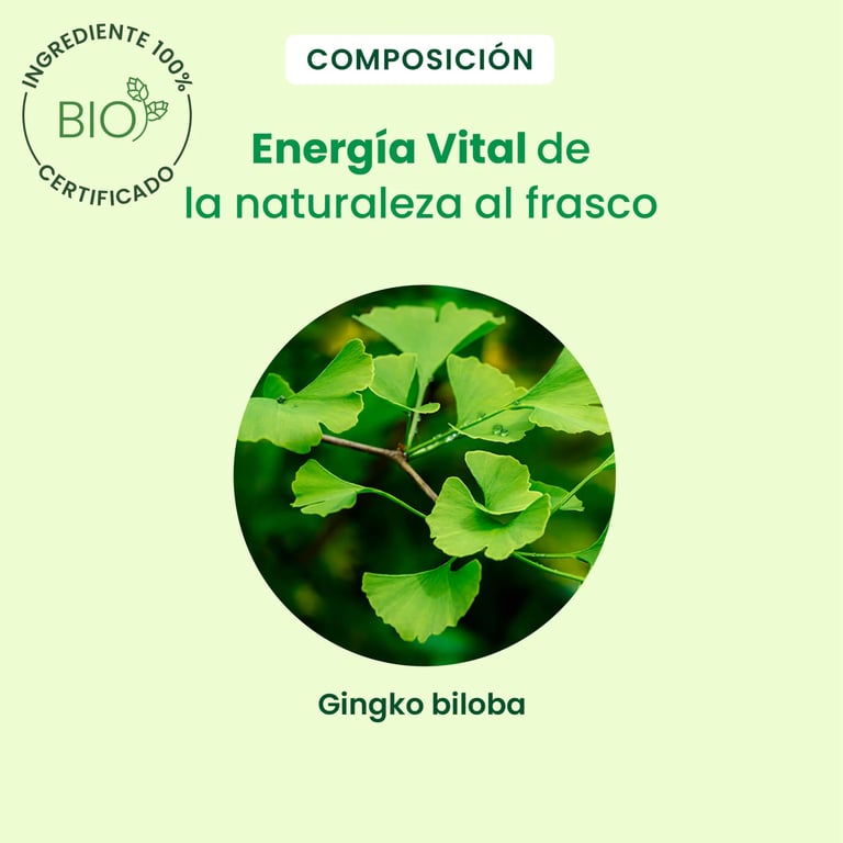 Ginkgo Bio Gotas - imagen 4 de 6