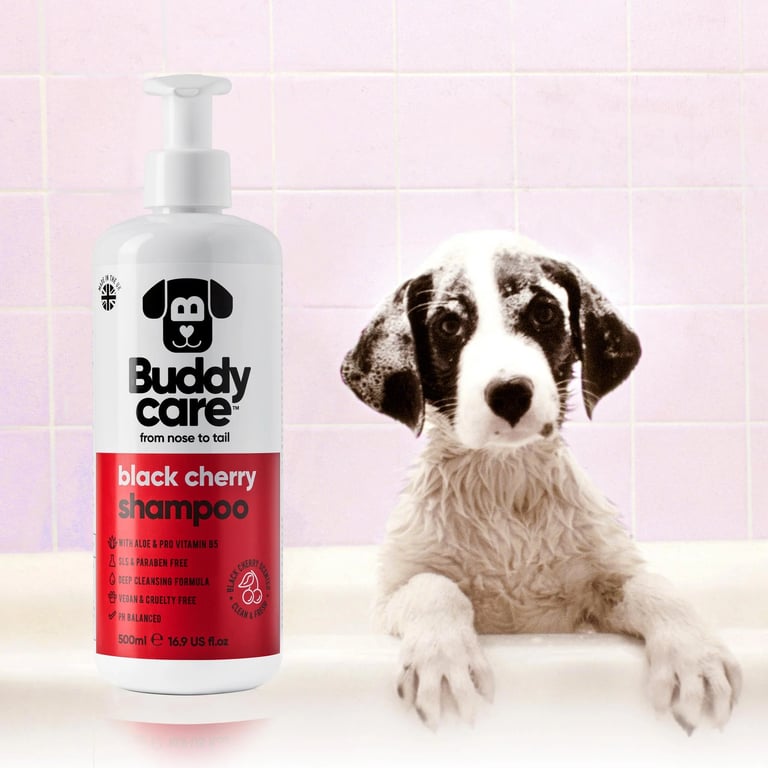Schwarzkirsch Hundeshampoo - imagen 11 de 14