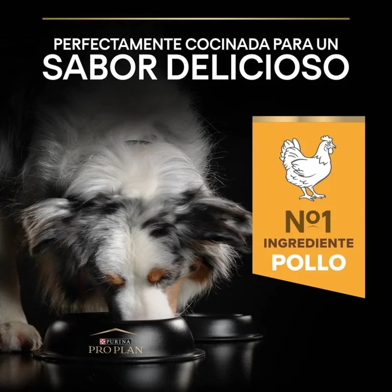 Cane Adulto Tutte Taglie Light Sterilizzato Pollo - imagen 11 de 12
