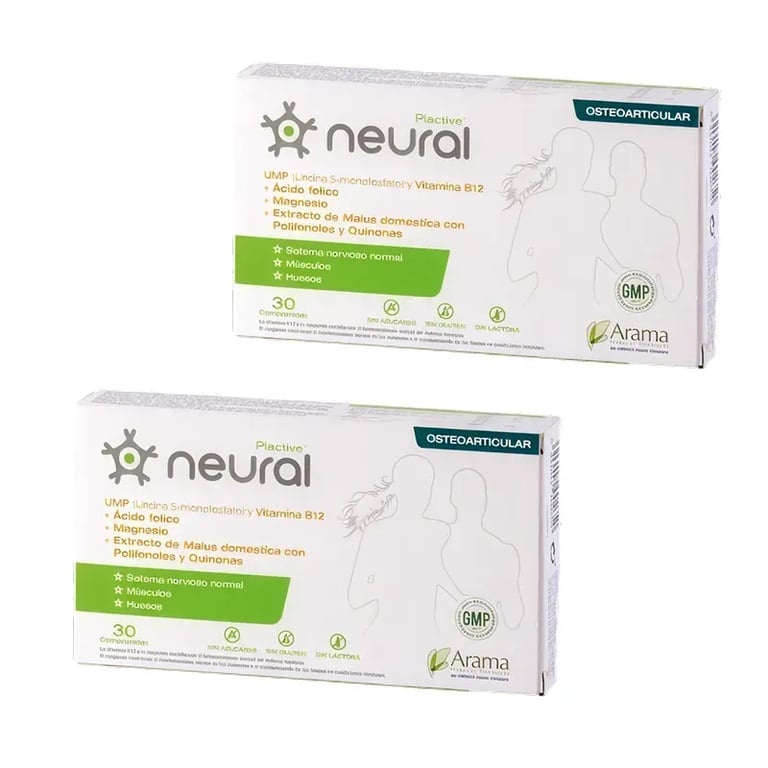 Neural Dúo